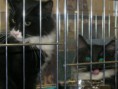 /album/mvm-vinicne-17-09-2011/p1010012-jpg/