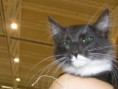 /album/mvm-vinicne-17-09-2011/p1010020-jpg1/
