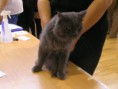 /album/mvm-vinicne-17-09-2011/p1010051-jpg/