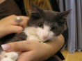 /album/mvm-vinicne-17-09-2011/p1010066-jpg/