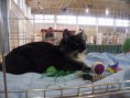 /album/mvm-vinicne-04-02-2012-/dscf8487-jpg/