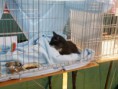 /album/mvm-vinicne-04-02-2012-/dscf8490-jpg/