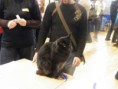 /album/mvm-vinicne-04-02-2012-/dscf8502-jpg/