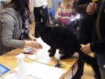 /album/mvm-vinicne-04-02-2012-/dscf8503-jpg/