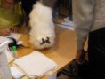 /album/mvm-vinicne-04-02-2012-/dscf8504-jpg/