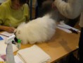/album/mvm-vinicne-04-02-2012-/dscf8505-jpg/
