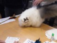 /album/mvm-vinicne-04-02-2012-/dscf8506-jpg/
