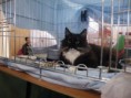 /album/mvm-vinicne-04-02-2012-/dscf8519-jpg/