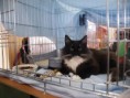 /album/mvm-vinicne-04-02-2012-/dscf8520-jpg/