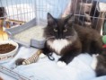 /album/mvm-vinicne-04-02-2012-/dscf8521-jpg/