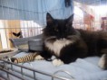 /album/mvm-vinicne-04-02-2012-/dscf8522-jpg/