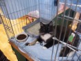 /album/mvm-vinicne-04-02-2012-/dscf8523-jpg/