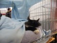 /album/mvm-vinicne-04-02-2012-/dscf8524-jpg/