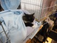 /album/mvm-vinicne-04-02-2012-/dscf8526-jpg/