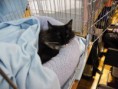 /album/mvm-vinicne-04-02-2012-/dscf8532-jpg/