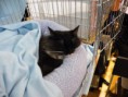 /album/mvm-vinicne-04-02-2012-/dscf8533-jpg/