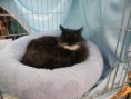 /album/mvm-vinicne-04-02-2012-/dscf8498-jpg/