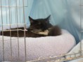 /album/mvm-vinicne-04-02-2012-/dscf8494-jpg/